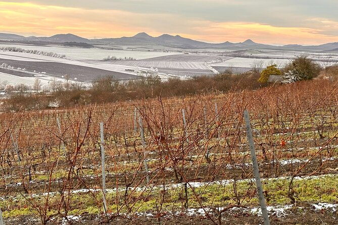 cozy-winter-countryside-tour-4x4-experience-authentic-bohemia-2