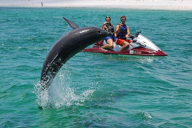 crab-island-dolphin-jetski-adventure