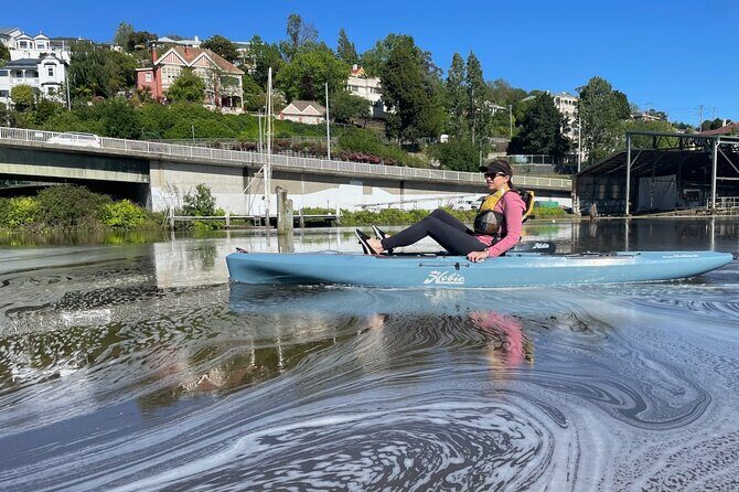 Cradle Mountain Day Tour from Launceston Including Lunch - Who Will Love This Tour?