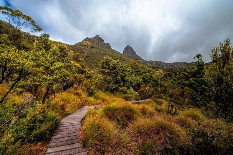 Cradle Mountain: Day Trip from Launceston with Lunch - Key Points