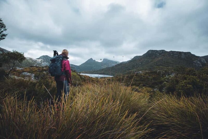 Cradle Mountain: Fully Guided Dove Lake Day Tour with Lunch - A Closer Look at the Tour Itinerary