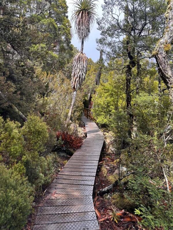 Cradle Mountain: Fully Guided Dove Lake Day Tour with Lunch - Authentic Experiences and Extra Touches