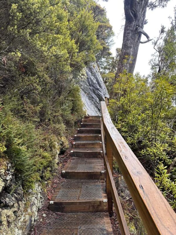 Cradle Mountain: Fully Guided Dove Lake Day Tour with Lunch - Final Thoughts
