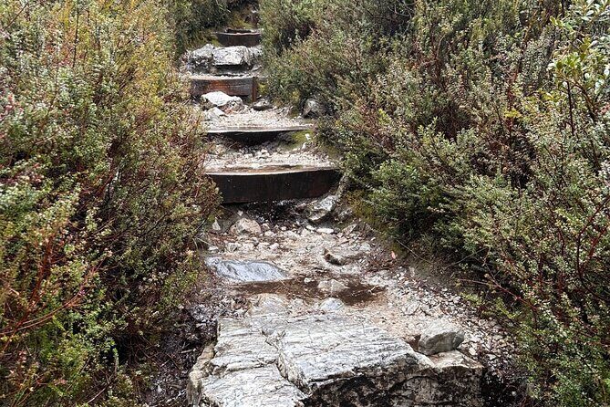 Cradle Mountain Half Day Dove Lake Guided Tour with Lunch - FAQ