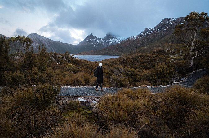 Cradle Mountain Half Day Park Explorer Tour with Lunch - Analyzing the Price and Overall Value