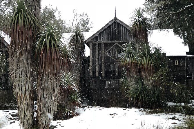 Cradle Mountain Half Day Park Explorer Tour with Lunch - Who Should Book This Tour?