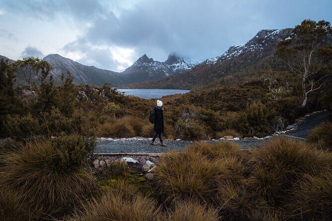Cradle Mountain Half Day Park Explorer Tour with Lunch - The Sum Up