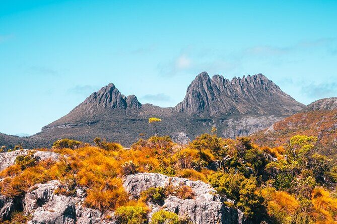 Cradle Mountain National Park Day Tour from Launceston - Authentic Experiences and Tips