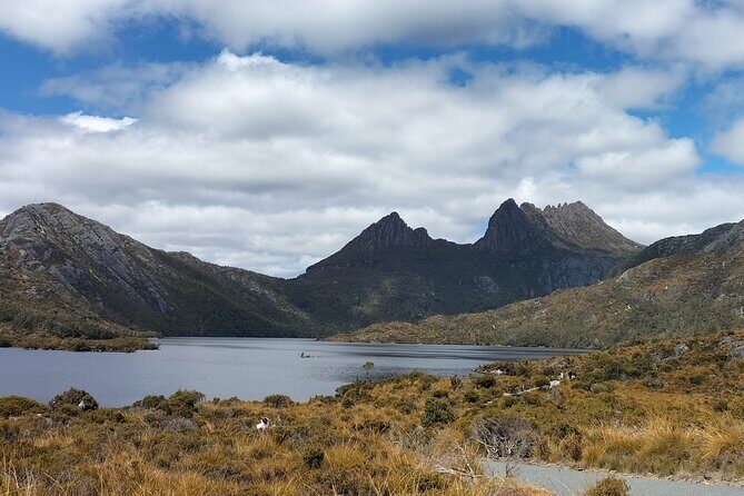Cradle Mountain Sightseeing Tour from Devonport or Burnie - Introduction to the Cradle Mountain Experience