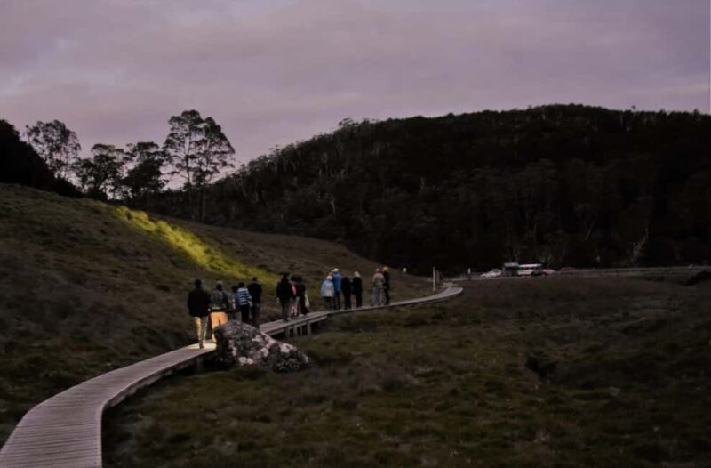 Cradle Mountain Wildlife Spotting after Dark - Final Thoughts: Is This Experience Worth It?