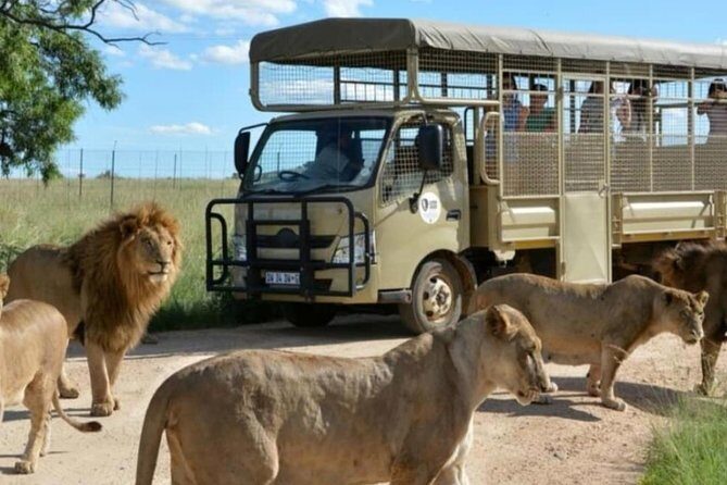 Cradle of Human Kind & Lion & Rhino Park Tour Full day Tour Private - The Itinerary Breakdown