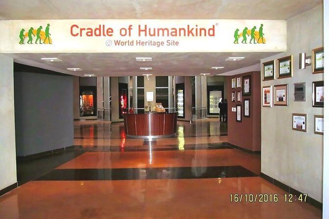 Cradle of Human Kind & Lion & Rhino Park Tour Full day Tour Private - Who Is This Tour Best For?