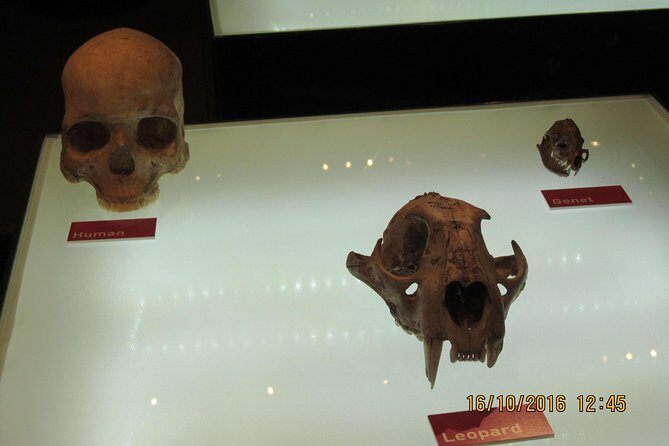 Cradle of Human Kind Tour and Lesedi Cultural Village Day Tour - Who Will Love This Tour?