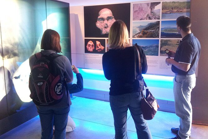 Cradle of Humankind and Maropeng Day Tour from Johannesburg - The Sum Up