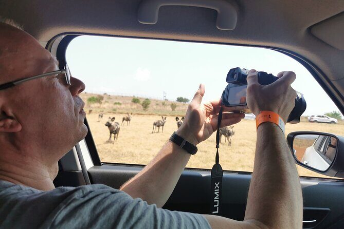 Cradle of Humankind, Caves or Maropeng, Rhino and Lion Park - Why This Tour Works
