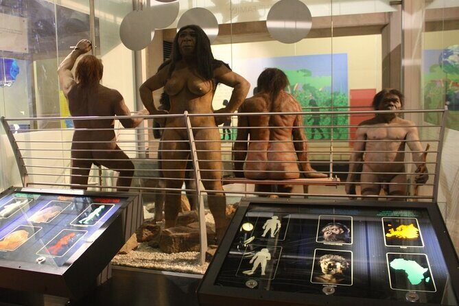 Cradle of Humankind Full Day Tour from Pretoria and Johannesburg - Key Points