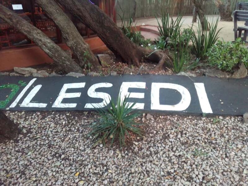 Cradle Of Humankind, Lesedi Cultural Village & Lion's Park - Key Points