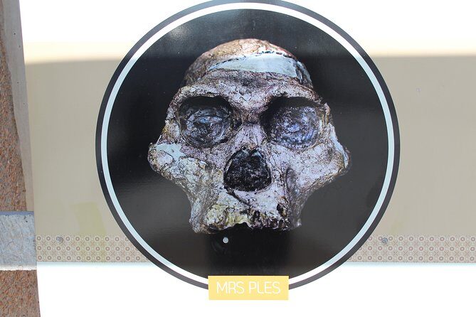 Cradle of Humankind Tour - Sterkfontein Caves with Maropeng Tour - Frequently Asked Questions