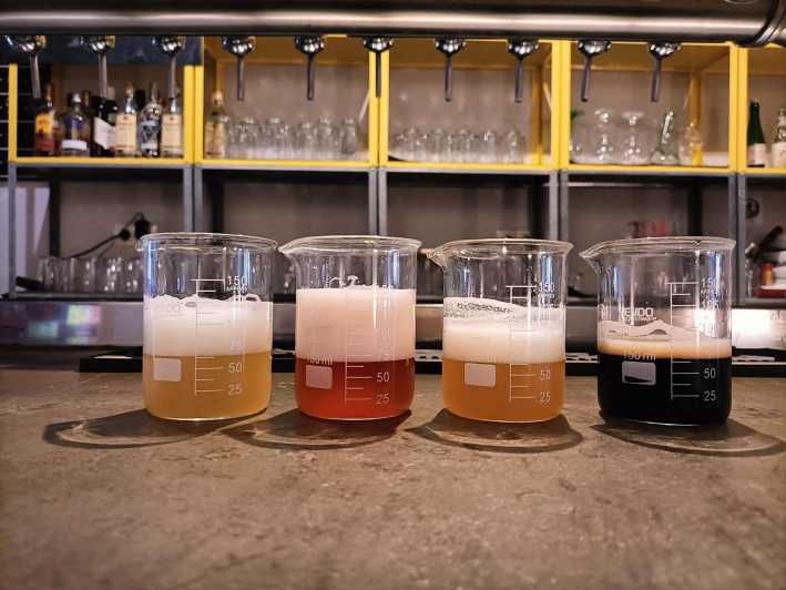 craft-beer-tasting-and-tapas-in-valencia
