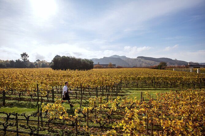 Craggy Range Deluxe - Hawke's Bay Wine Tour - Scenic Drive Through Tuki Tuki Valley (Approx. 1 hour)