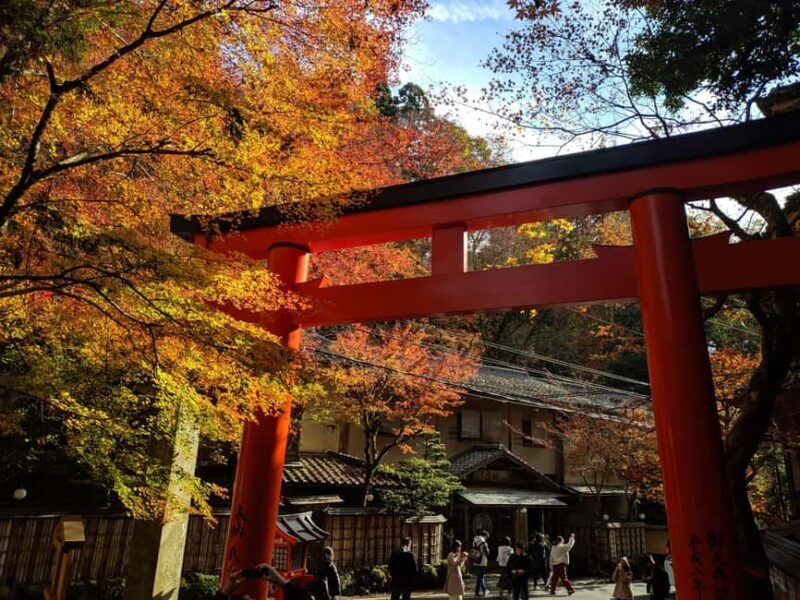 Craig's Kyoto Private Luxury Alphard Tour / The Early Riser - Who Will Love This Tour?