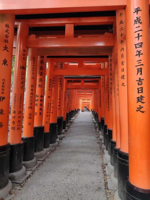 Craig's Kyoto Private Luxury Alphard Tour / The Early Riser - The Sum Up