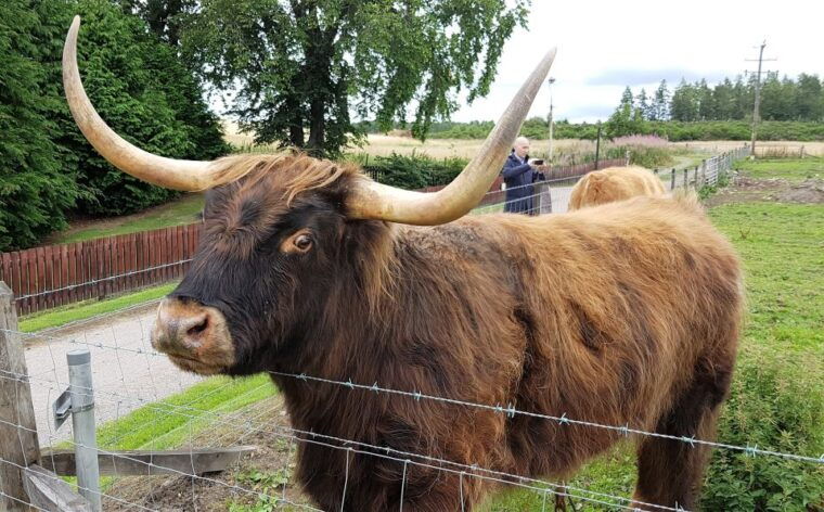 craigs-luxury-speyside-private-whisky-tour
