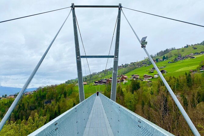 crash-landing-on-you-private-switzerland-day-tour-from-zurich-or-lucerne-cloy-4