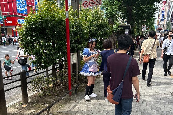 crazy-about-anime-private-full-day-tokyo-manga-anime-tour-by-chartered-vehicle