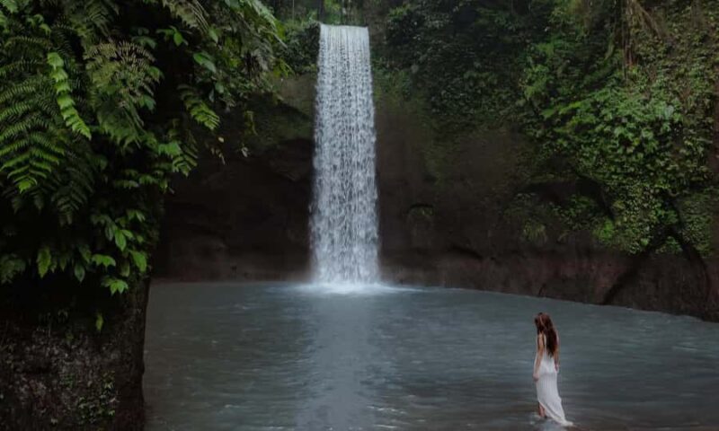 Create Your Own Ubud Itinerary  Private Tour - Key Points