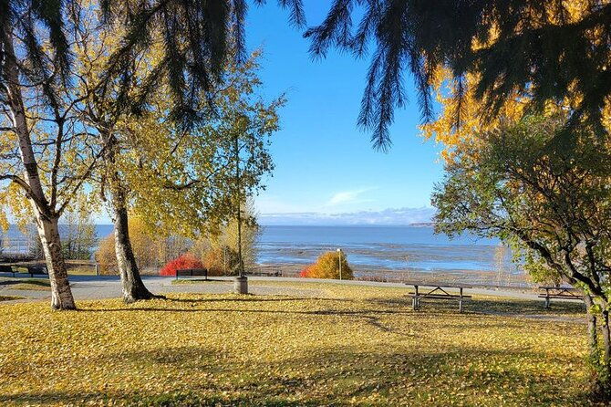 creative-soul-scavenger-hunt-anchorage-on-the-tony-knowles-trail