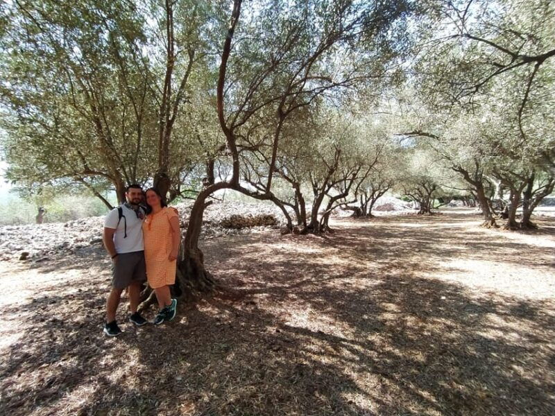 cres-olive-oil-walking-tour-with-tastings