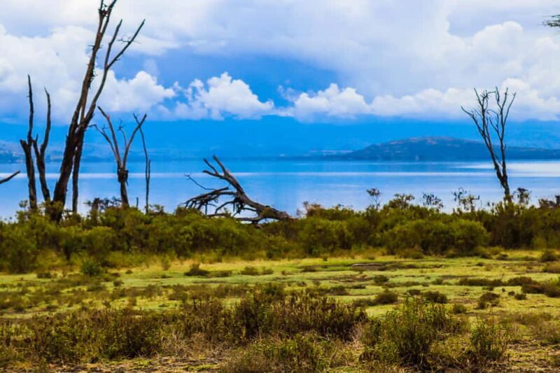 Crescent Island and Lake Naivasha: A Walking Safari - Authentic Experiences and Honest Impressions