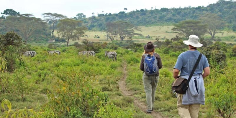 Crescent Island Day Trip with Boat Ride from Nairobi - Key Points