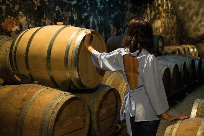 Cretan Delights - Wine, Olive Oil & Cooking Workshop from Chania - The Breakdown of the Tour