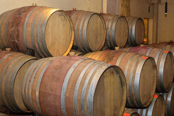 Cretan Delights - Wine, Olive Oil & Cooking Workshop from Chania - Final Thoughts: Is This Tour Worth It?