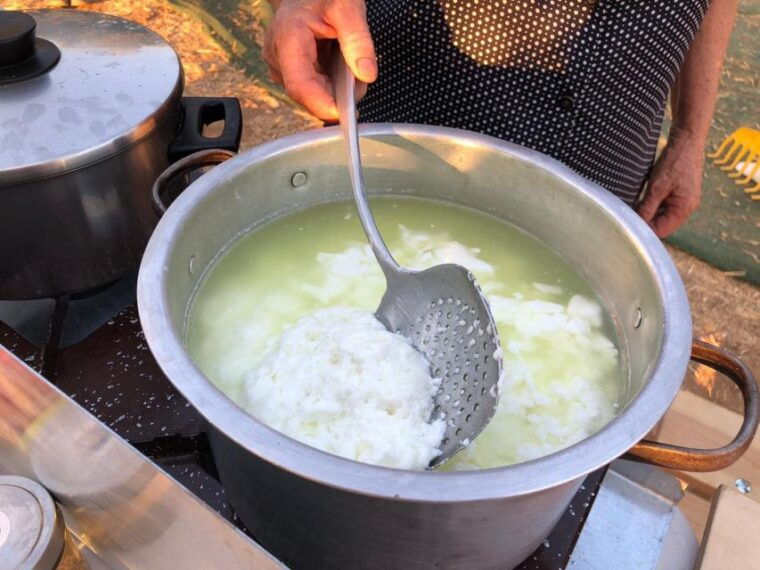 cretan-farm-tour-with-cheese-making-food-picnic