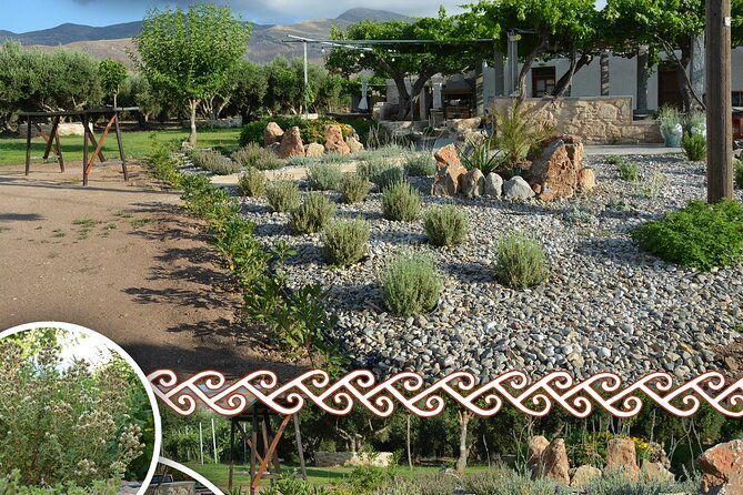 cretan-traditional-cooking-lessons-3