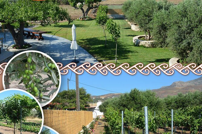 cretan-traditional-cooking-lessons