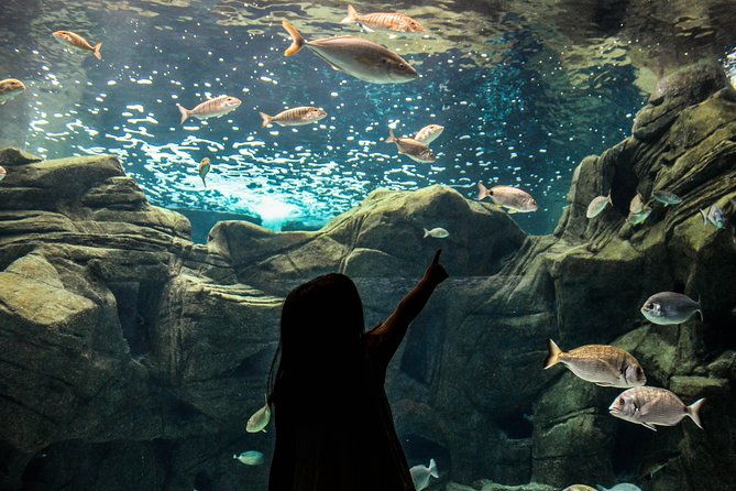 cretaquarium-entrance-ticket-in-crete