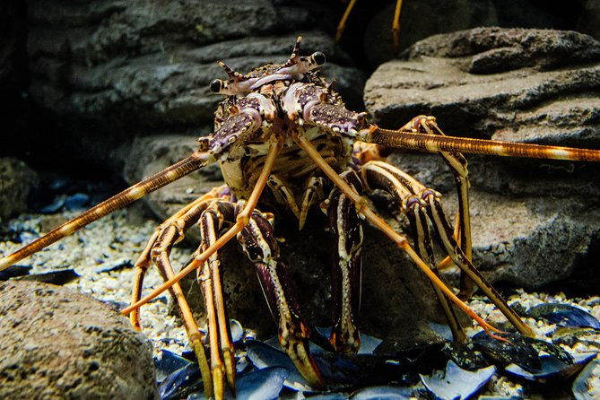 cretaquarium-entrance-ticket-in-crete