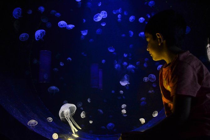cretaquarium-entrance-ticket-in-crete