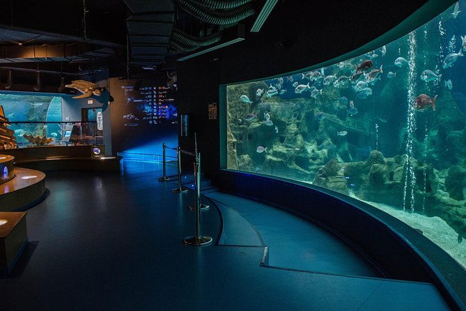 cretaquarium-entrance-ticket-in-crete