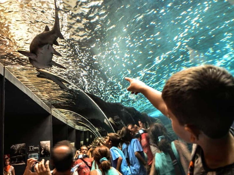 Cretaquarium Tour - Key Points