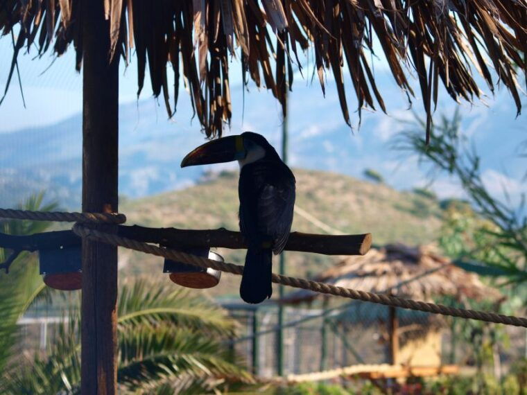 crete-agios-nikolaos-kritsa-and-amazonas-park-day-trip