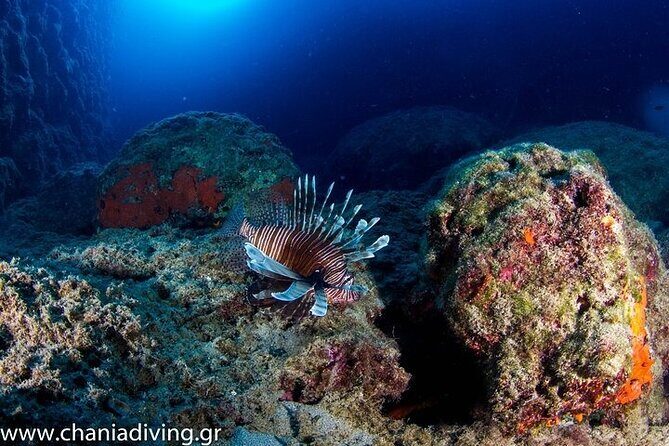 Crete-Chania: Snorkeling & Scuba Dive for Beginners by Boat - The Experience for Different Travelers