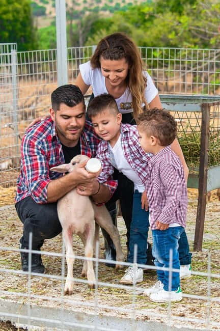 Crete: Farm Visit with Cheese Tasting and Milking Experience - Who Will Love This Tour?