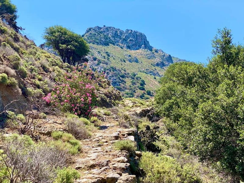 Crete: Guided Hiking Tour, Kavousi Canyon & Swimming - Transportation, Timing, and Group Size  