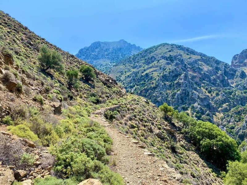 Crete: Guided Hiking Tour, Kavousi Canyon & Swimming - Is This Tour Worth the Price?  