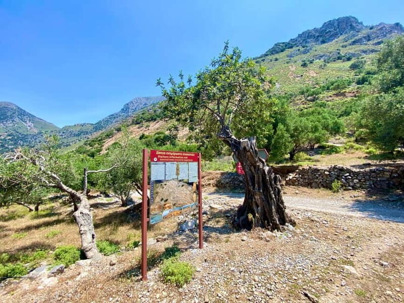 Crete: Guided Hiking Tour, Kavousi Canyon & Swimming - Final Thoughts: Who Is This Tour For?  